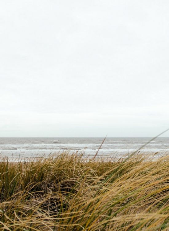 diagnosed with cancer