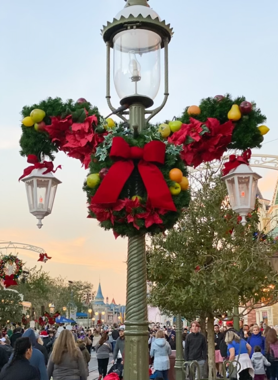 What to Pack for Walt Disney World - Winter Edition